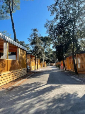 Mobile Home Lena - Biograd